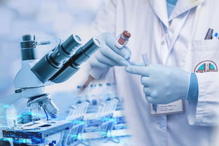 上海化妝品加工廠 如何通過基礎軟件服務提升生產效能與合規管理